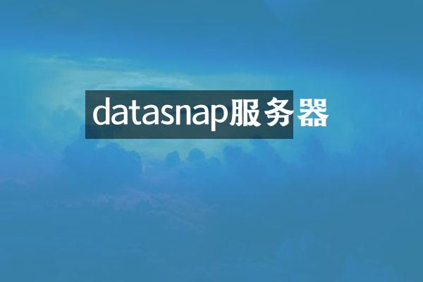 datasnap服务器