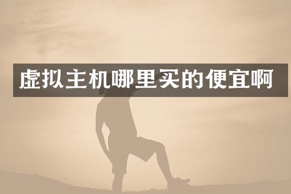 虚拟主机哪里买的便宜啊