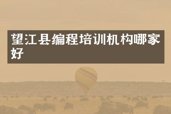 望江县编程培训机构哪家好