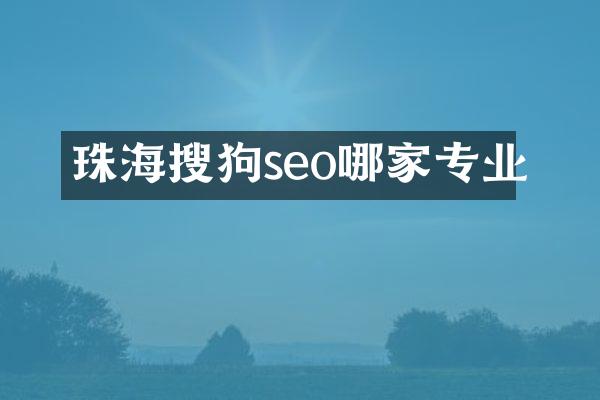 珠海搜狗seo哪家专业