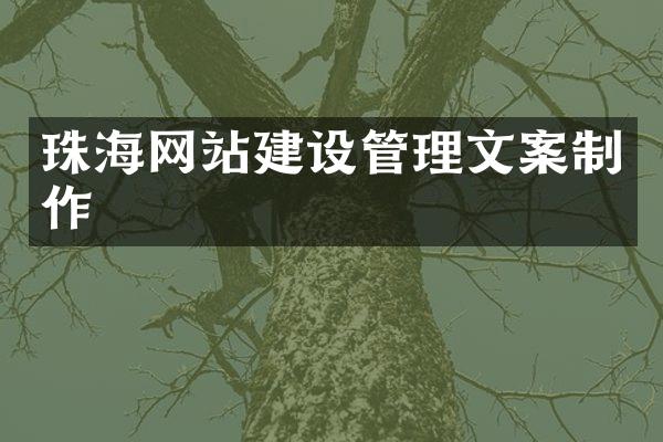 珠海网站建设管理文案制作