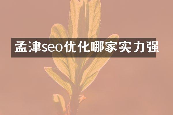 孟津seo优化哪家实力强