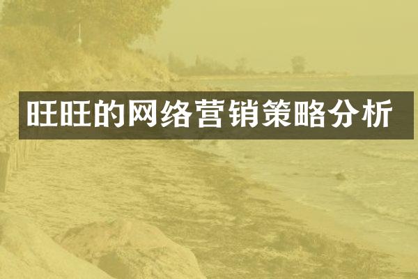 旺旺的网络营销策略分析