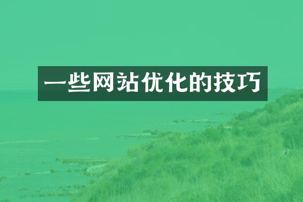 一些网站优化的技巧