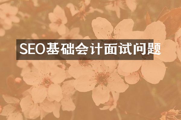 SEO基础会计面试问题