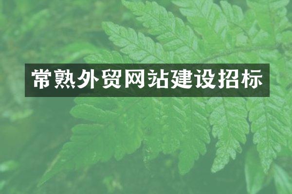 常熟外贸网站建设招标
