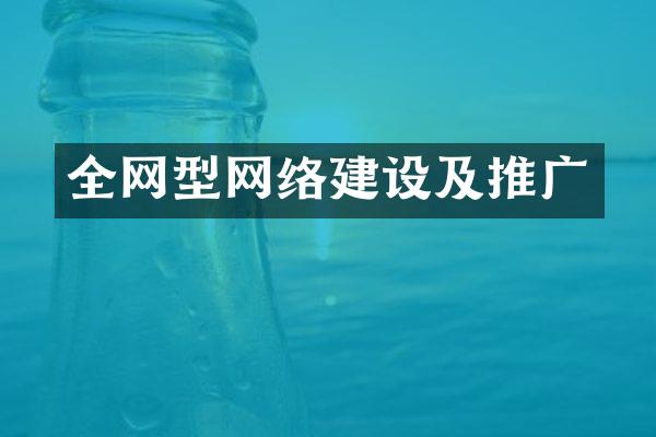 全网型网络建设及推广