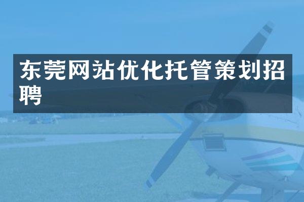 东莞网站优化托管策划招聘