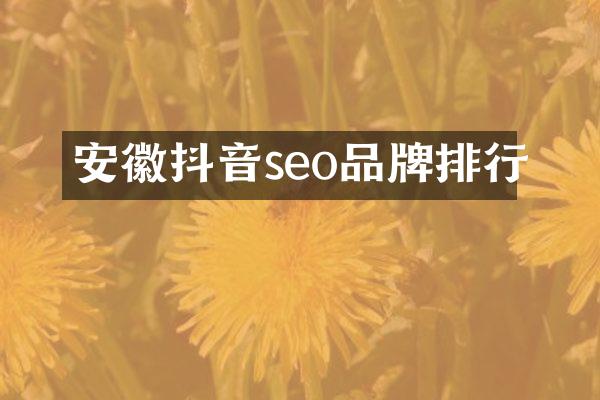 安徽抖音seo品牌排行