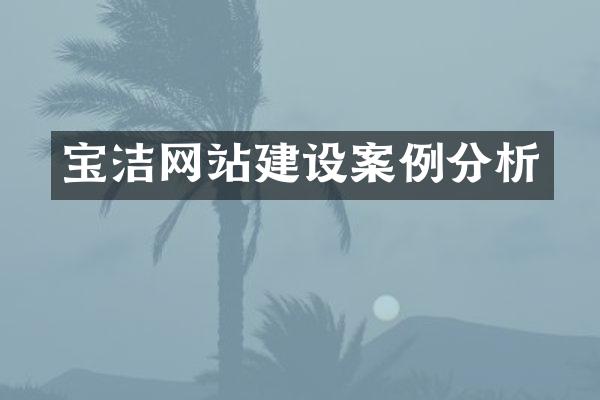 宝洁网站建设案例分析