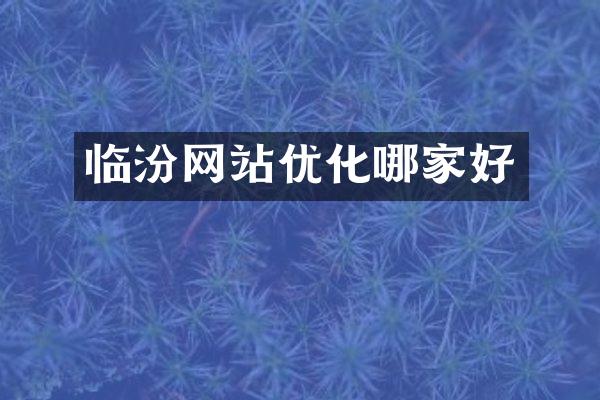 临汾网站优化哪家好