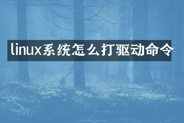 linux系统怎么打驱动命令