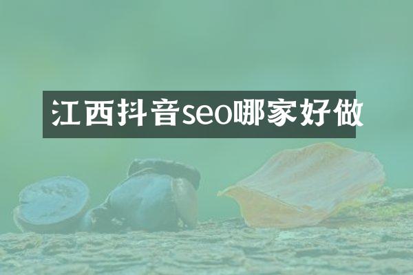 江西抖音seo哪家好做