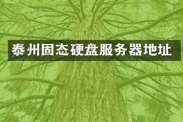 泰州固态硬盘服务器地址