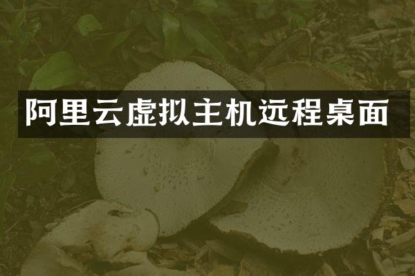 阿里云虚拟主机远程桌面