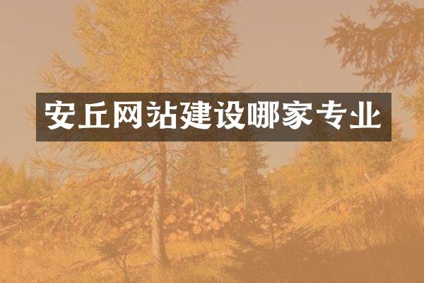 安丘网站建设哪家专业