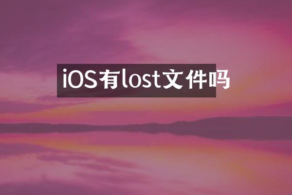 iOS有lost文件吗