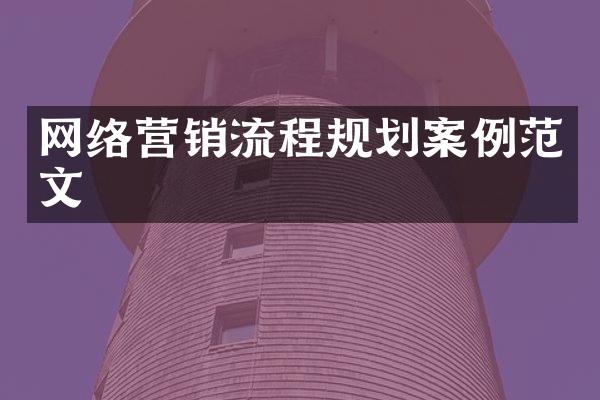 网络营销流程规划案例范文