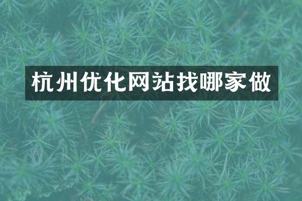 杭州优化网站找哪家做