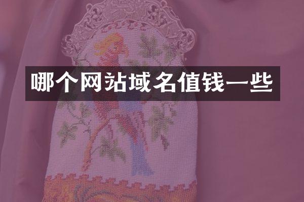 哪个网站域名值钱一些