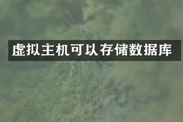 虚拟主机可以存储数据库