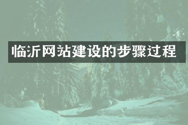 临沂网站建设的步骤过程