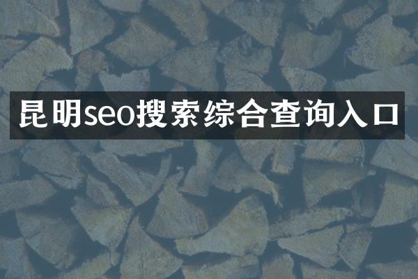 昆明seo搜索综合查询入口