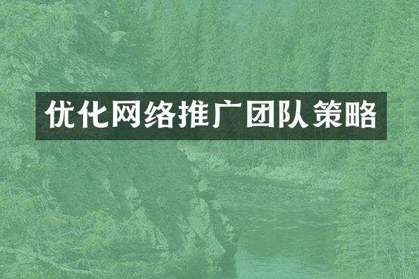 优化网络推广团队策略