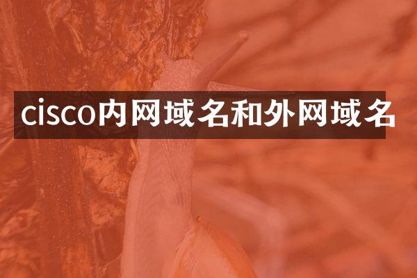 cisco内网域名和外网域名