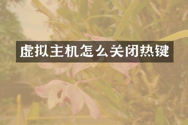 虚拟主机怎么关闭热键
