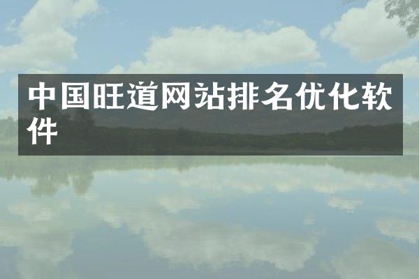 中国旺道网站排名优化软件