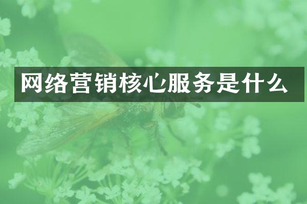 网络营销核心服务是什么