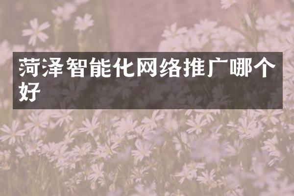 菏泽智能化网络推广哪个好