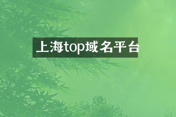 上海top域名平台