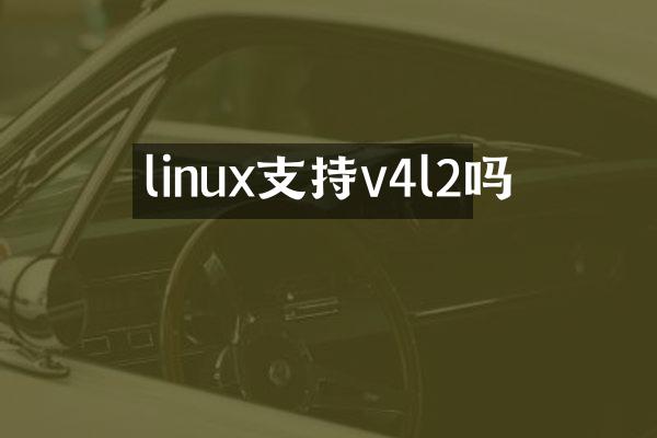 linux支持v4l2吗