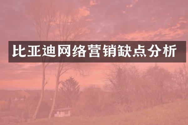 比亚迪网络营销缺点分析