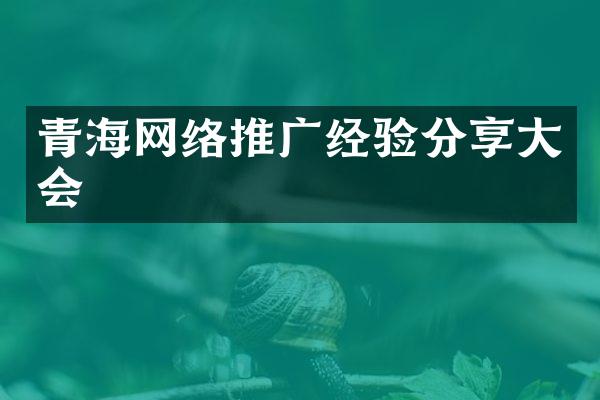 青海网络推广经验分享大会