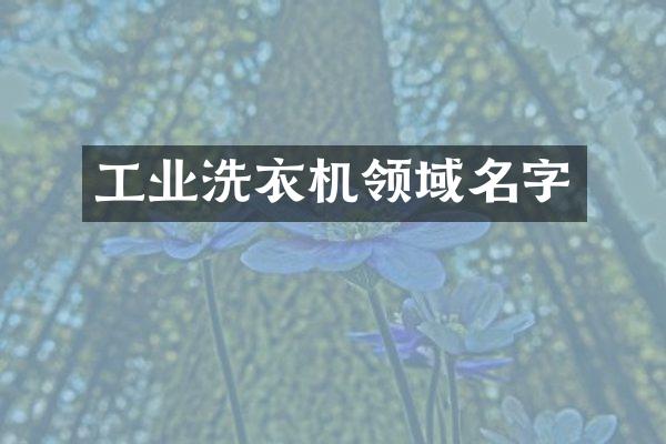 工业洗衣机领域名字