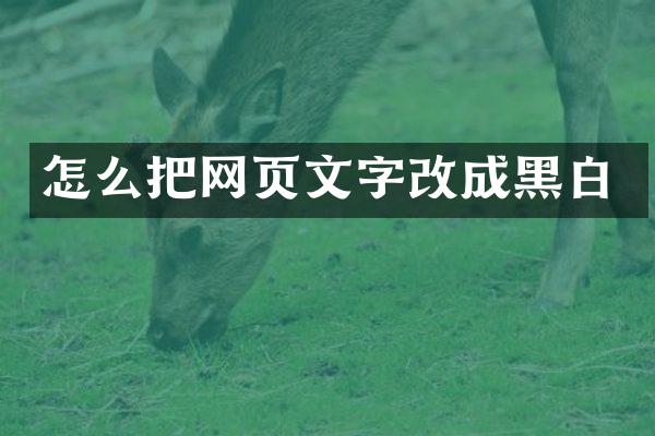 怎么把网页文字改成黑白