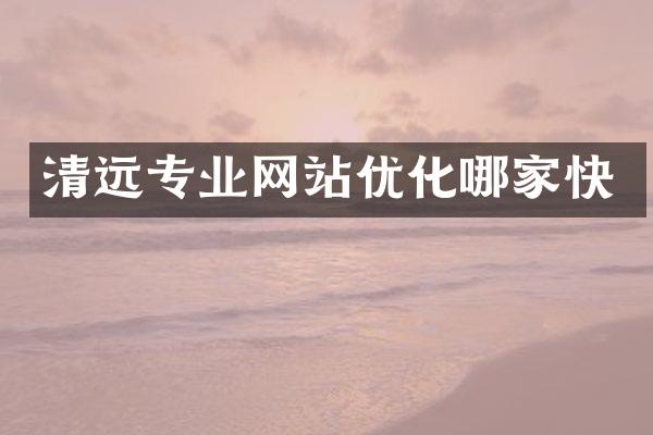 清远专业网站优化哪家快