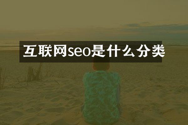 互联网seo是什么分类
