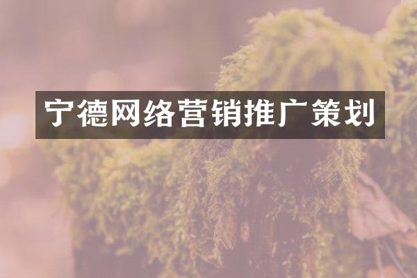宁德网络营销推广策划