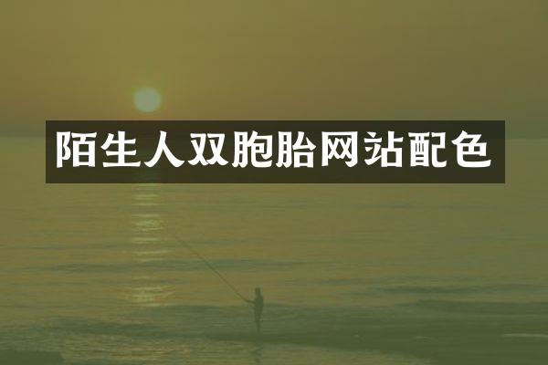 陌生人双胞胎网站配色
