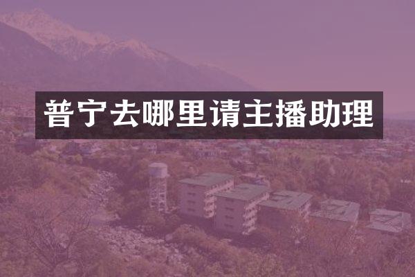 普宁去哪里请主播助理