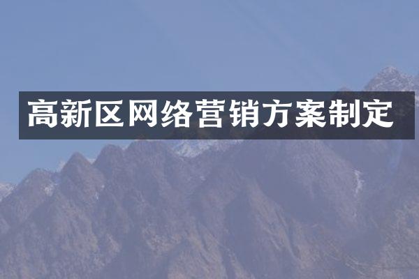 高新区网络营销方案制定