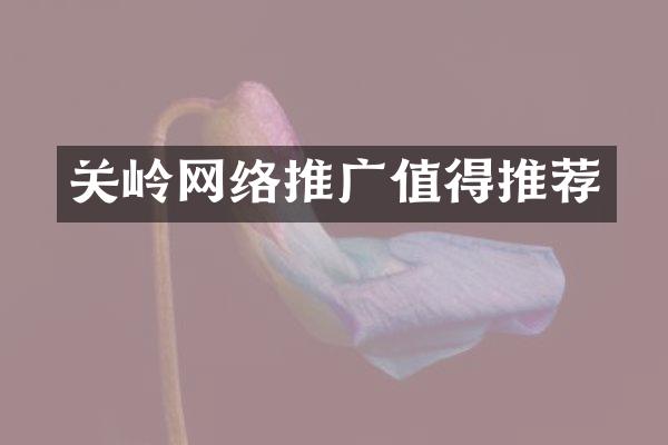 关岭网络推广值得推荐
