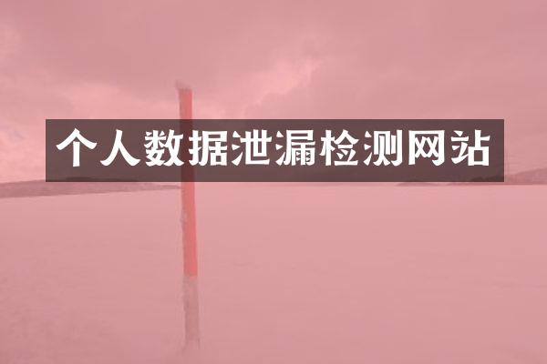 个人数据泄漏检测网站