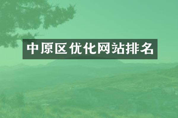 中原区优化网站排名