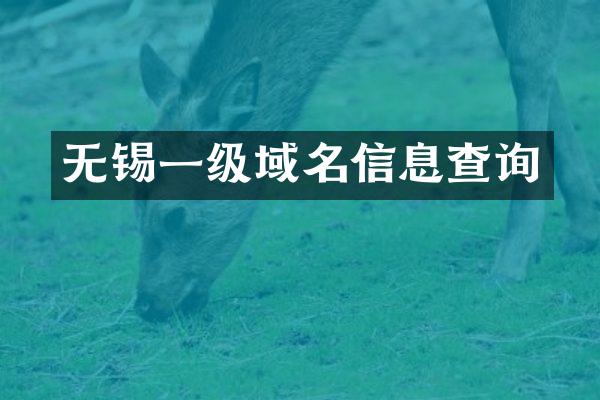无锡一级域名信息查询