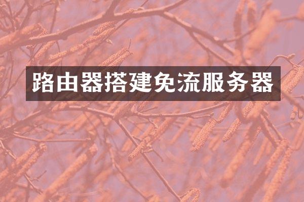 路由器搭建免流服务器